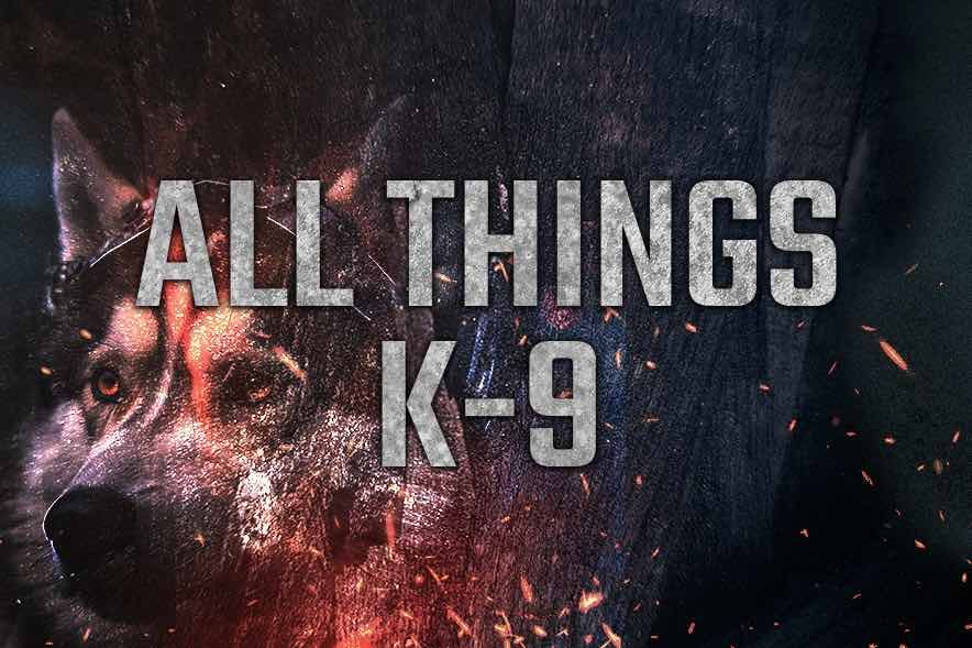 All Things K9
